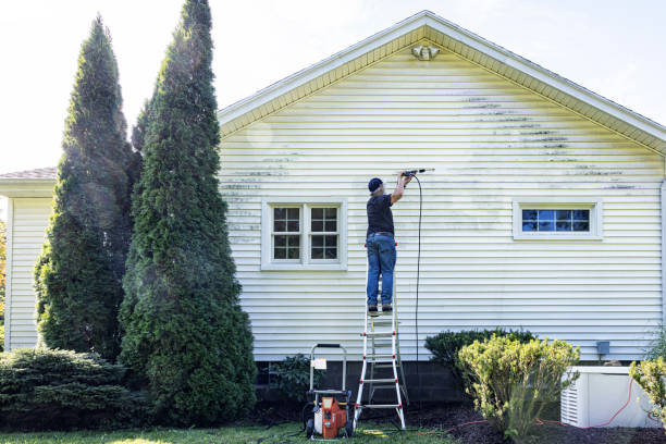 Best Sidewalk and Walkway Cleaning  in Lake Barrington, IL